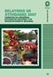 [Comissão da Amazônia, Integração Nacional e de Desenvolvimento Regional]: relatório anual 2007